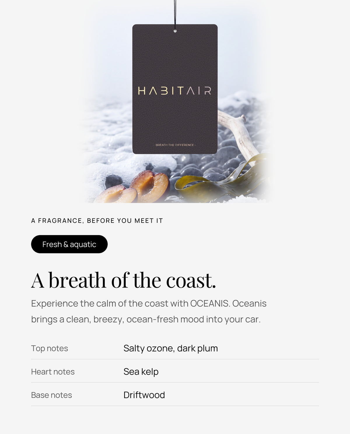 OCEANIS Classic scent profile: top, heart and base notes