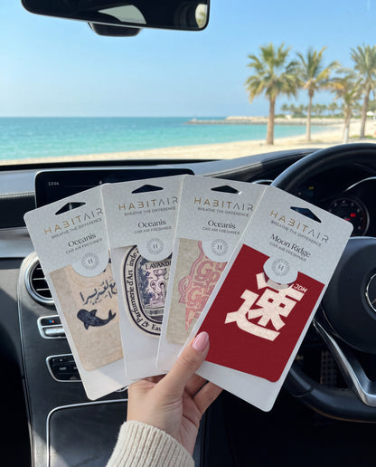 The Signature Bundle: Buy 3 Get 1 Free: hand holding the Ease in Every Journey, Eau de Lavande, Let the Good Times Roll and JDM Spirit HabitAir retail packs in a car